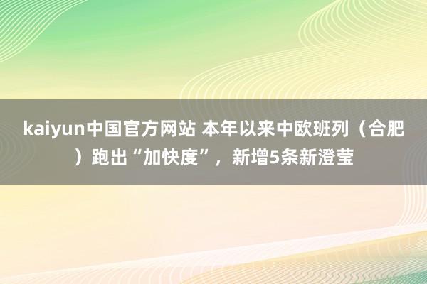 kaiyun中国官方网站 本年以来中欧班列（合肥）跑出“加快度”，新增5条新澄莹