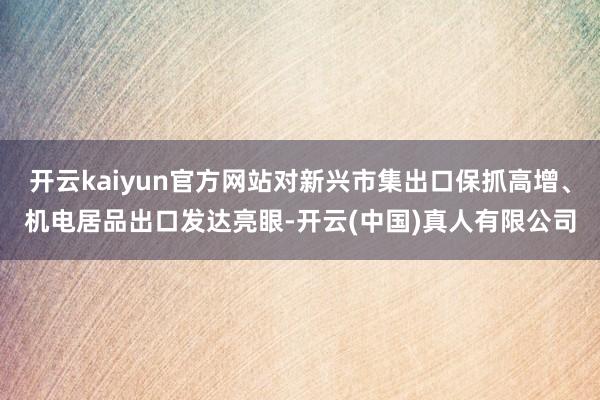开云kaiyun官方网站对新兴市集出口保抓高增、机电居品出口发达亮眼-开云(中国)真人有限公司