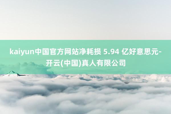 kaiyun中国官方网站净耗损 5.94 亿好意思元-开云(中国)真人有限公司