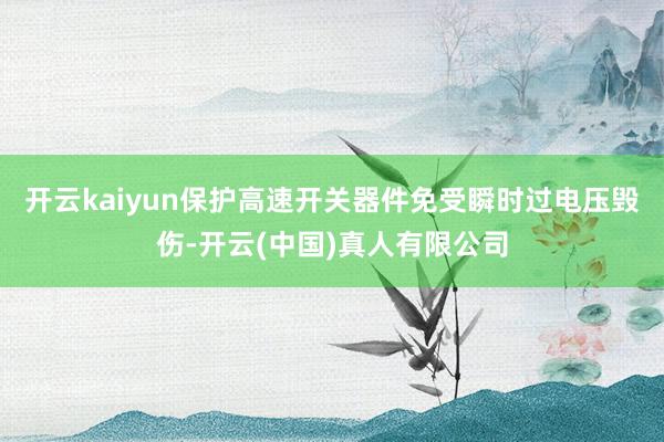 开云kaiyun保护高速开关器件免受瞬时过电压毁伤-开云(中国)真人有限公司