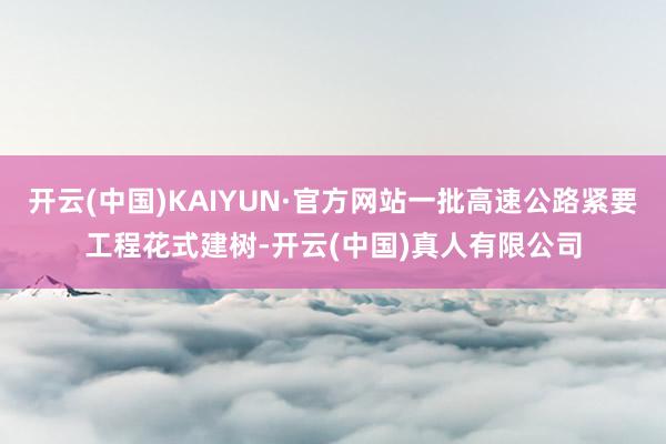 开云(中国)KAIYUN·官方网站一批高速公路紧要工程花式建树-开云(中国)真人有限公司