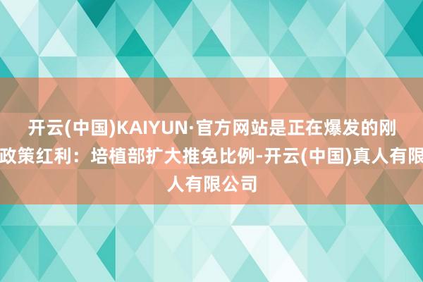 开云(中国)KAIYUN·官方网站是正在爆发的刚需：政策红利：培植部扩大推免比例-开云(中国)真人有限公司
